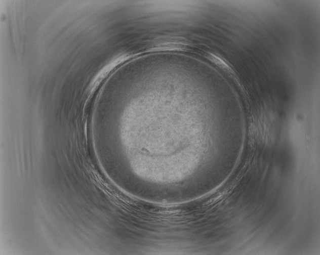 X0000057081419200509161552