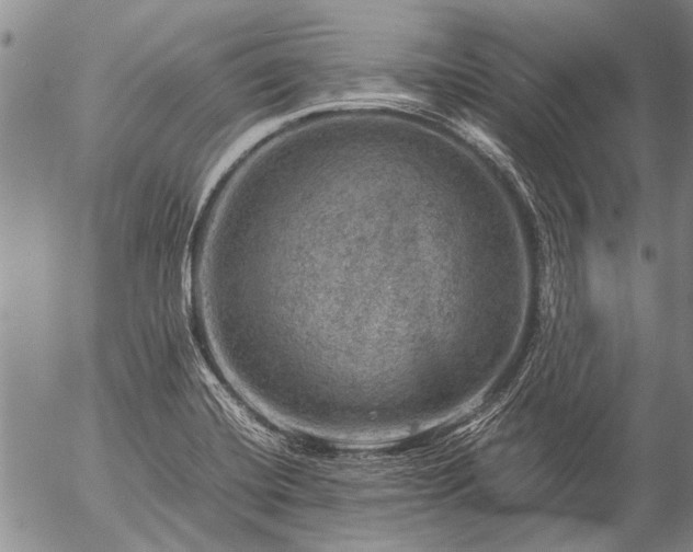 X0000057081420200509161552