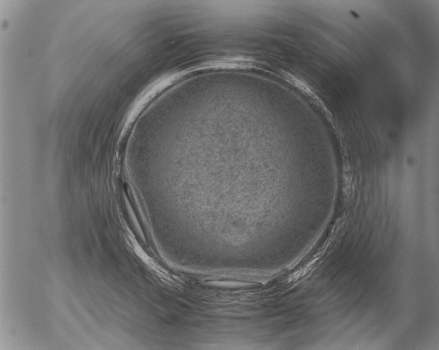 X0000057081421200509161552