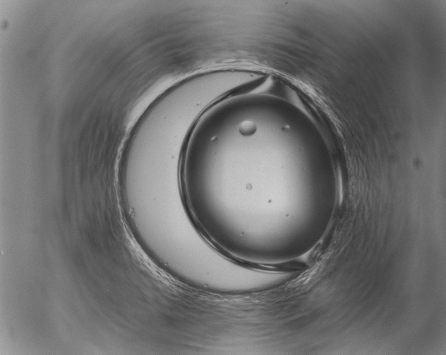 X0000057081422200509161552