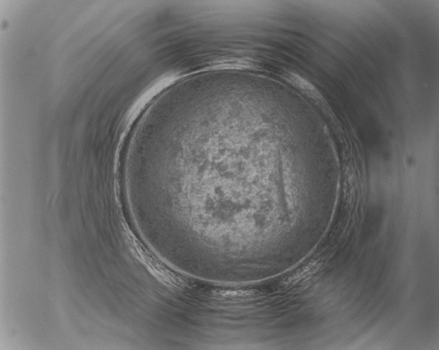 X0000057081427200509161553