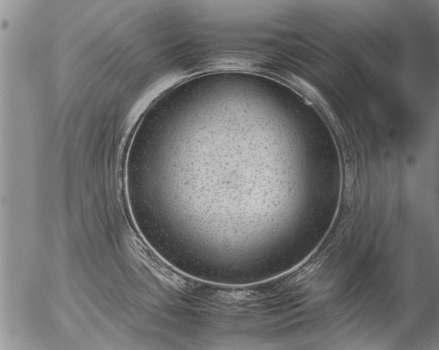 X0000057081435200509161553