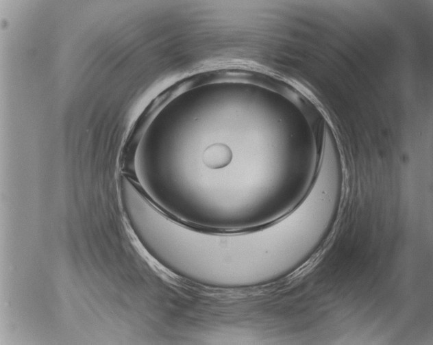 X0000057081438200509161553