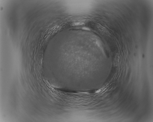 X0000057081441200509161552