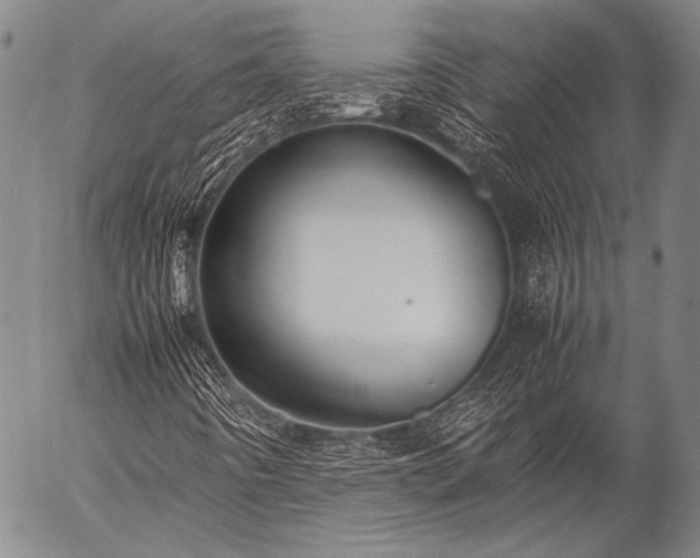 X0000057081442200509161552