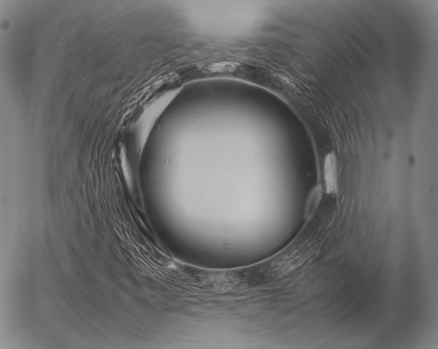 X0000057081443200509161552