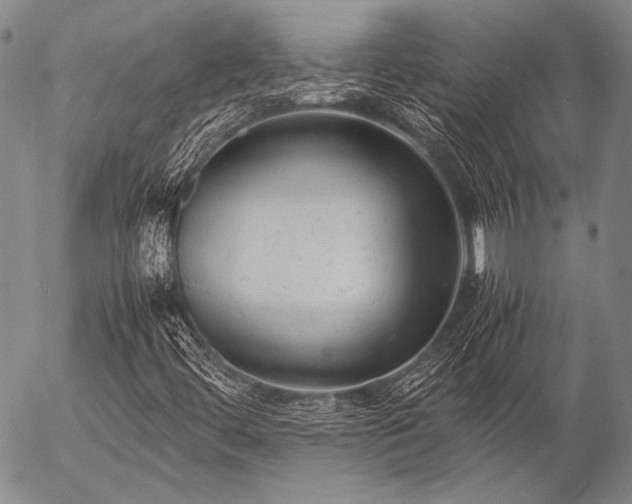 X0000057081444200509161552