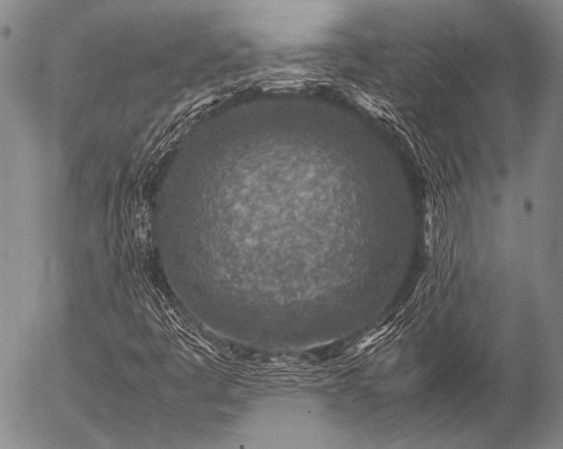 X0000057081445200509161552