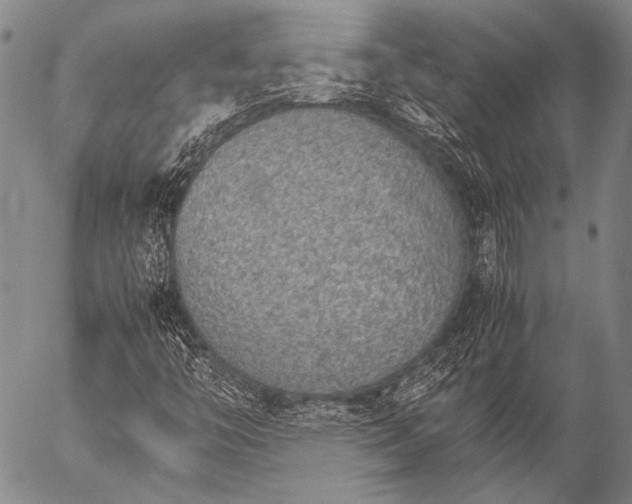 X0000057081446200509161552