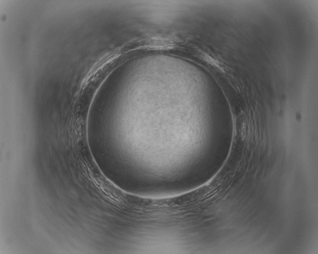 X0000057081448200509161552