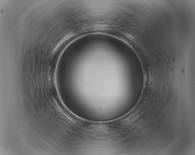 X0000057081450200509161552