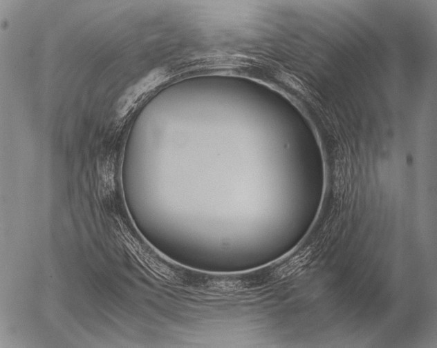 X0000057081451200509161552