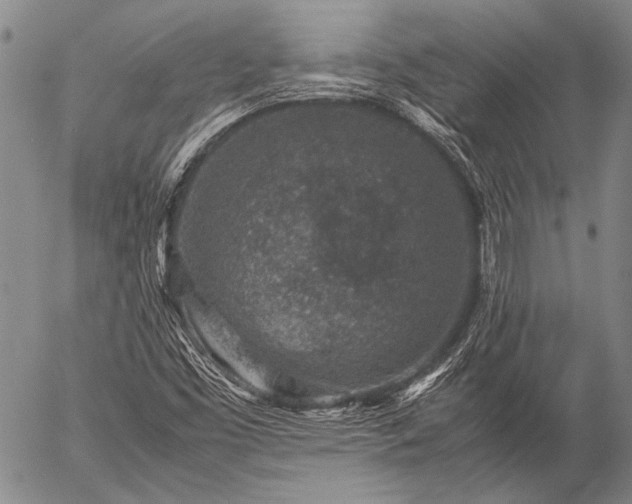 X0000057081453200509161552