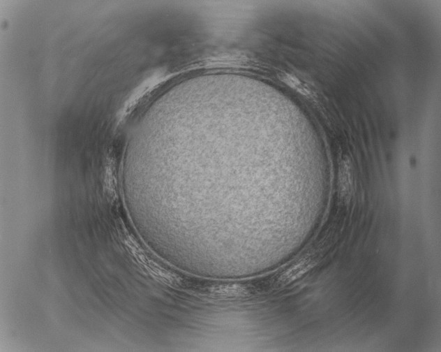 X0000057081454200509161552