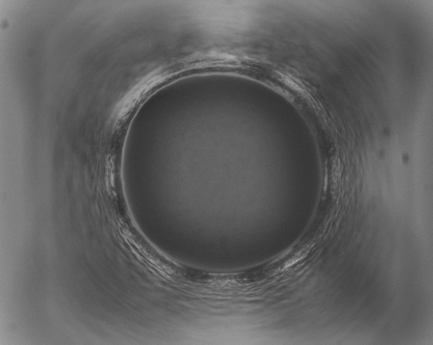 X0000057081455200509161552