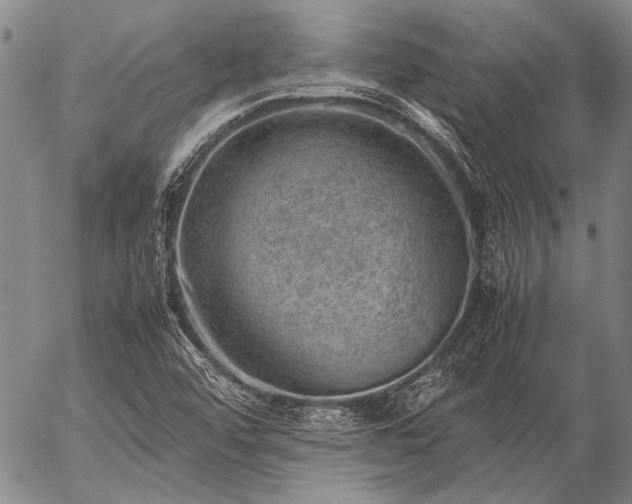 X0000057081456200509161552