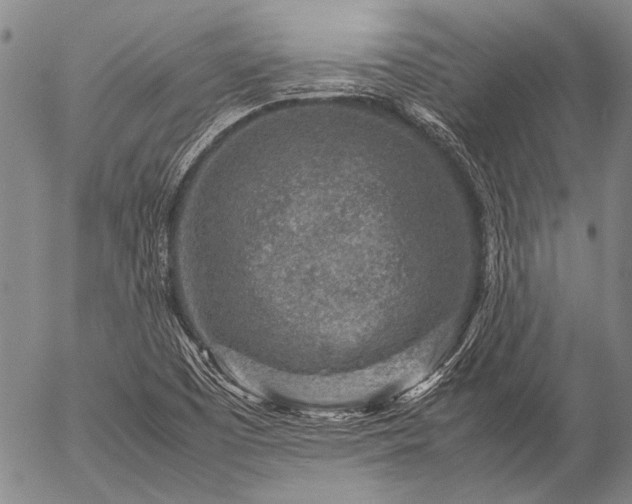 X0000057081457200509161552