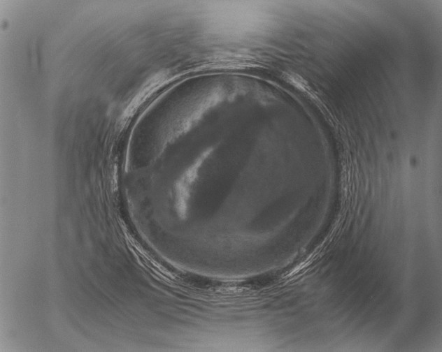 X0000057081459200509161552