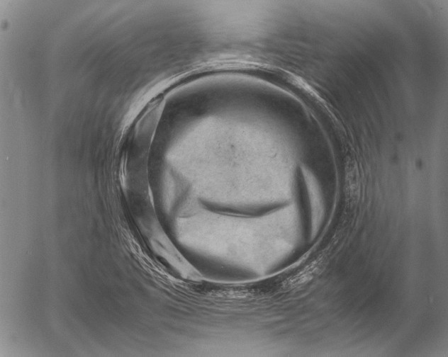 X0000057081461200509161552