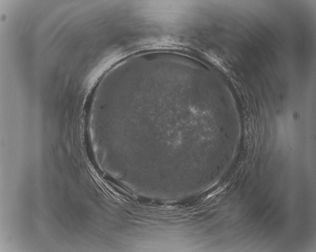 X0000057081463200509161552