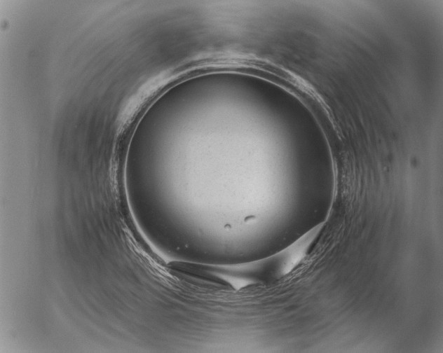 X0000057081464200509161552