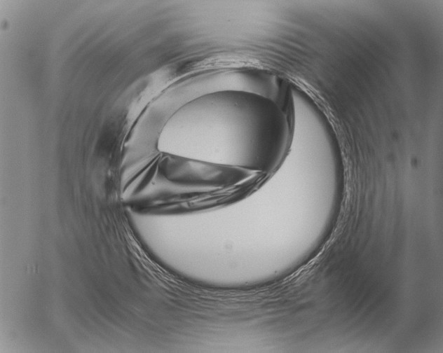 X0000057081465200509161552