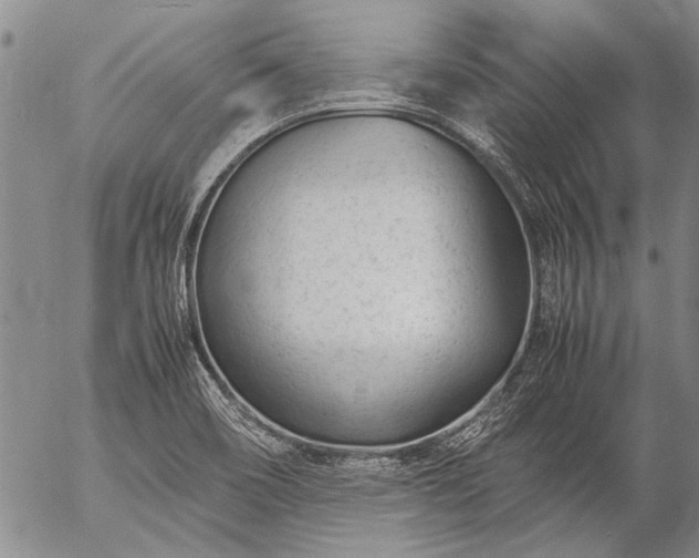 X0000057081466200509161552