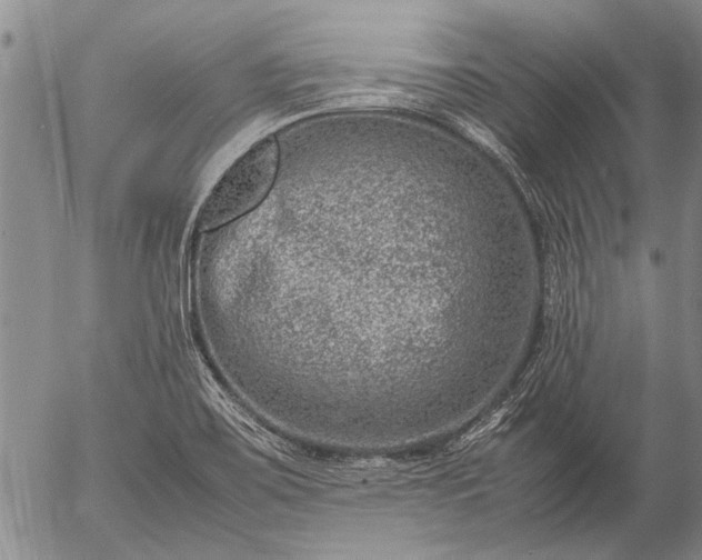 X0000057081467200509161552