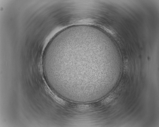 X0000057081470200509161551