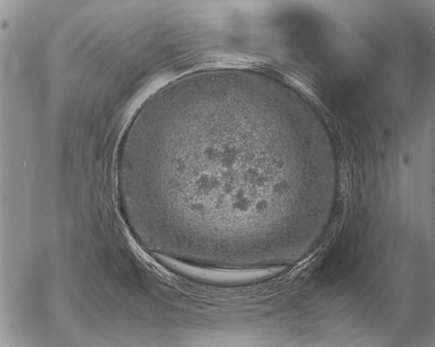 X0000057081471200509161551