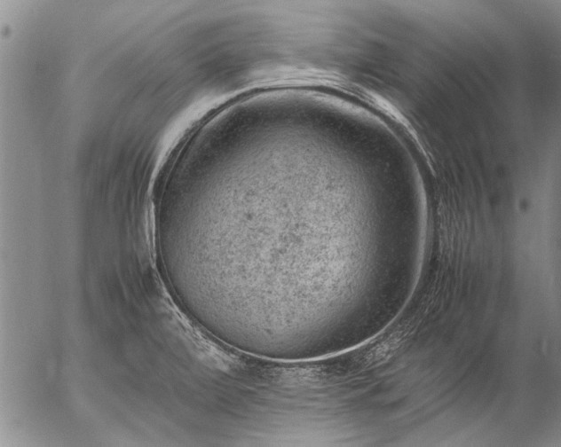 X0000057081472200509161551