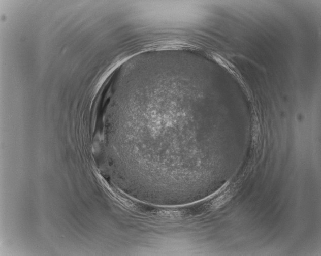 X0000057081473200509161551