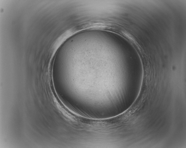 X0000057081475200509161551