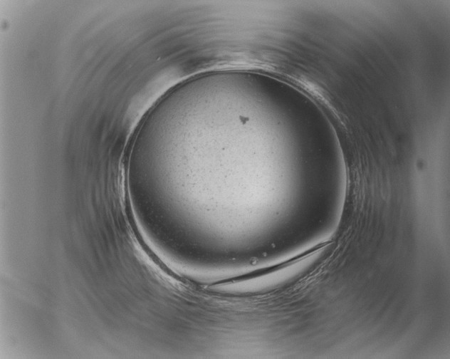 X0000057081476200509161551