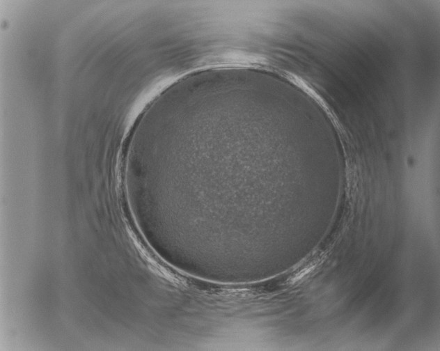 X0000057081477200509161551