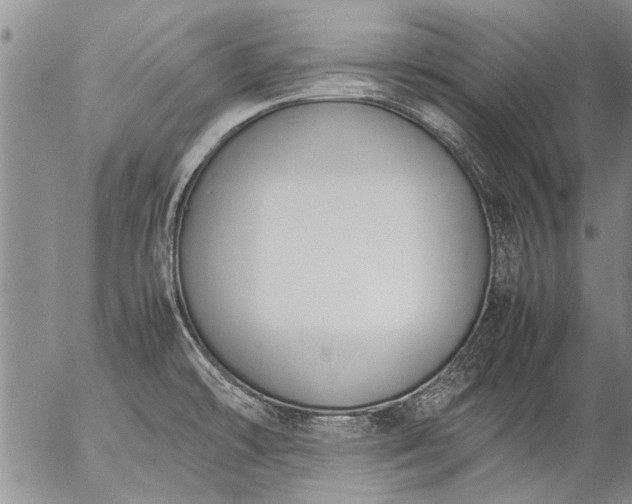 X0000057081478200509161551