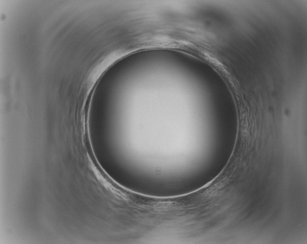 X0000057081479200509161551