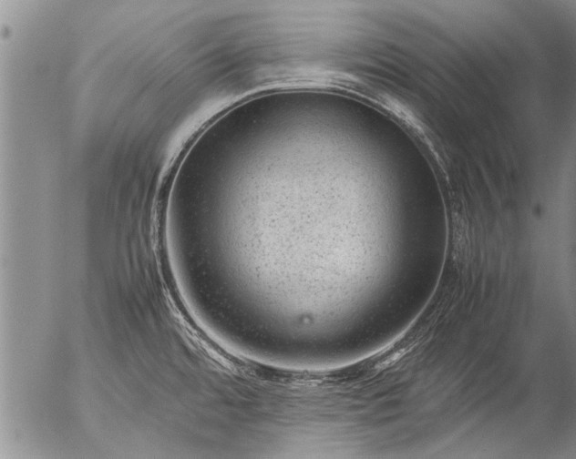 X0000057081480200509161551