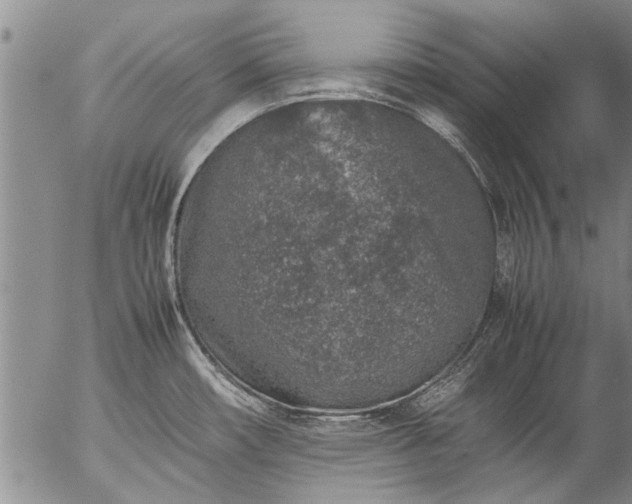 X0000057081482200509161551