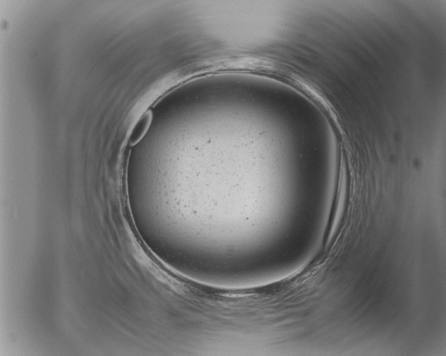 X0000057081483200509161551