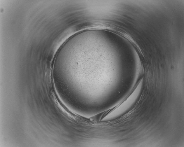 X0000057081484200509161551