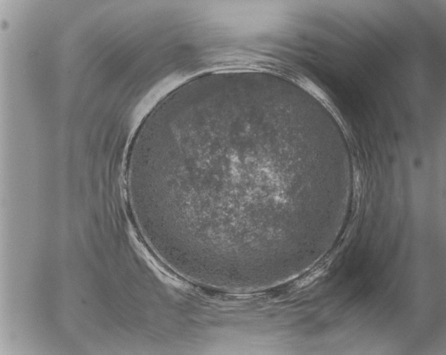 X0000057081485200509161551