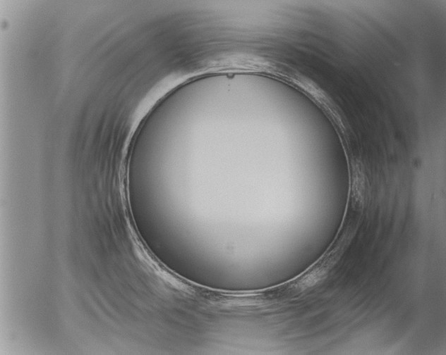 X0000057081486200509161551