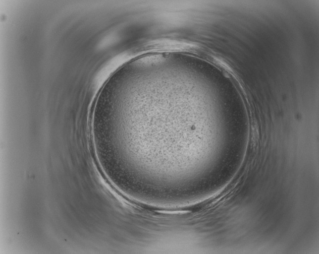 X0000057081487200509161551