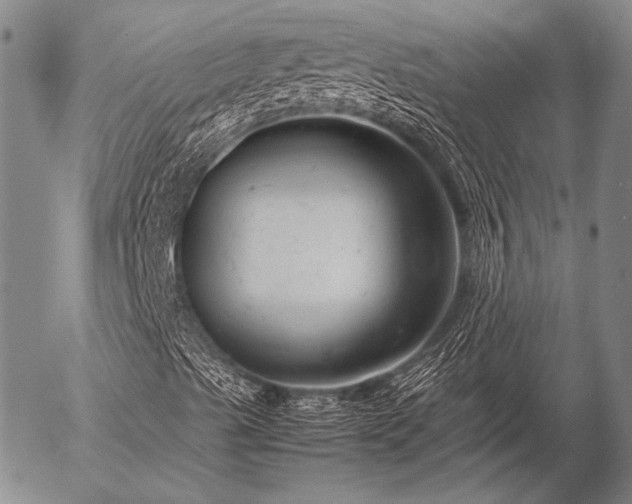 X0000057081489200509161550