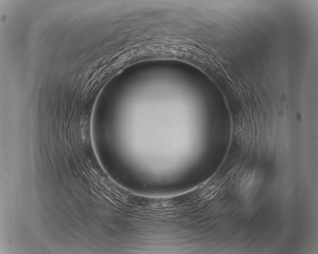 X0000057081490200509161550