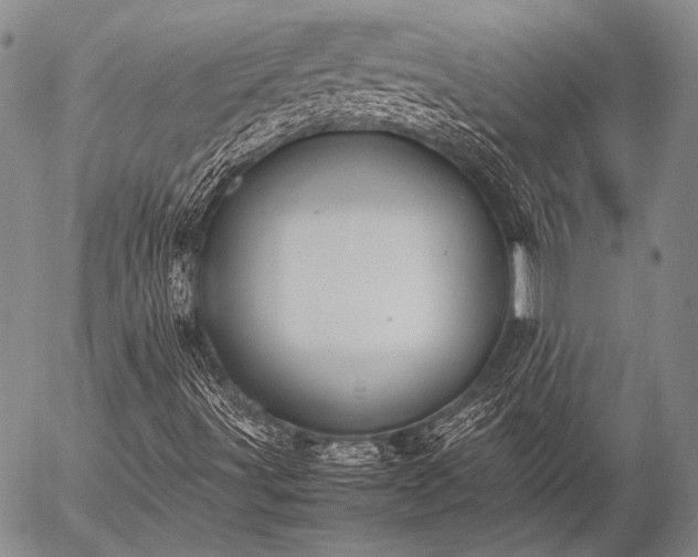 X0000057081491200509161550