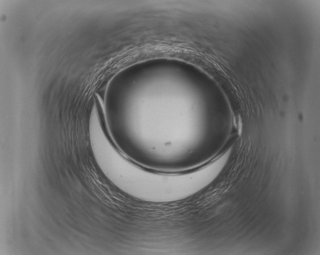 X0000057081492200509161550