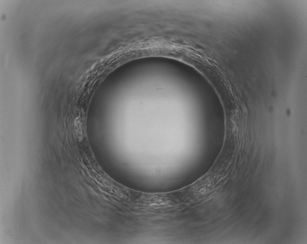 X0000057081493200509161550