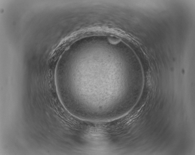 X0000057081494200509161550